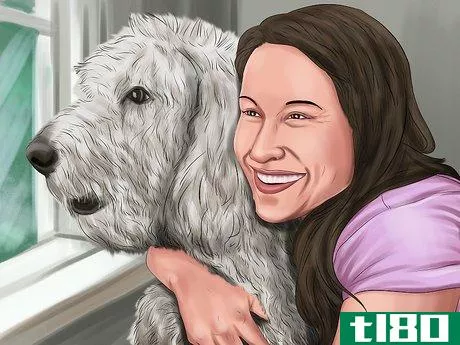 Image titled Use Dog Pheromone Products Step 7