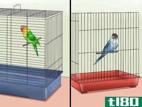 Image titled Teach Your Budgie to Talk Step 3