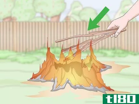 Image titled Burn Tree Stumps Step 9
