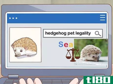 Image titled Take Care of a Hedgehog Step 1