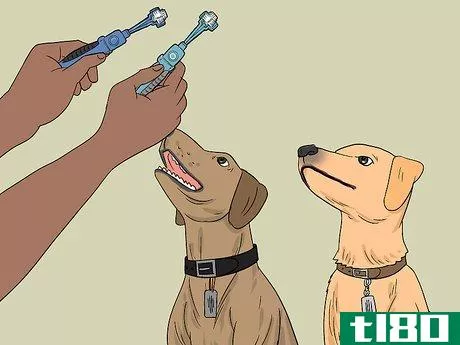 Image titled Clean Your Dog's Toothbrush Step 1