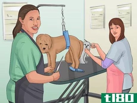 Image titled Start a Mobile Pet Grooming Service Step 2