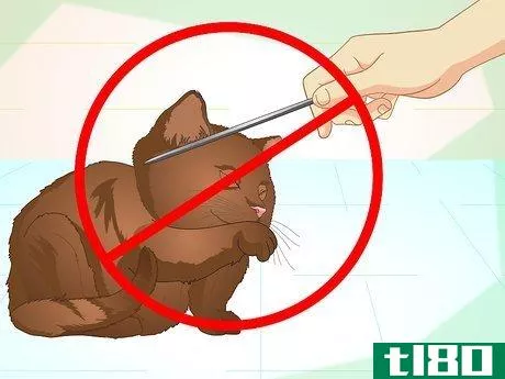 Image titled Teach Your Cat to Do Tricks Step 8