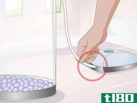 Image titled Start a Jellyfish Tank Step 7