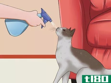 Image titled Stop a Cat from Clawing Furniture Step 8