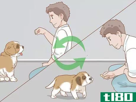 Image titled Train a Saint Bernard Puppy Step 7