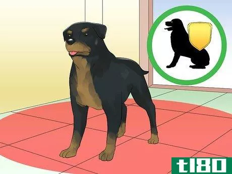 Image titled Train a Rottweiler to Be a Guard Dog Step 9