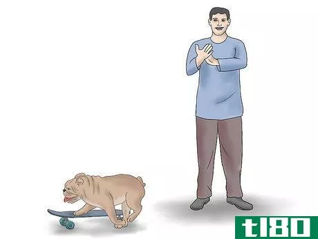 Image titled Teach a Bulldog to Skateboard Step 6