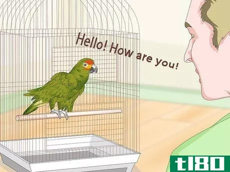 Image titled Teach Parrots to Talk Step 13