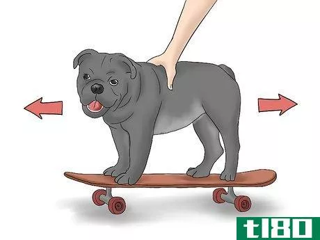 Image titled Teach a Bulldog to Skateboard Step 9