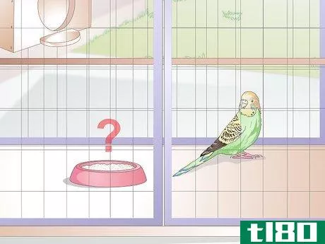 Image titled Tell when a Parakeet Is Sick Step 3