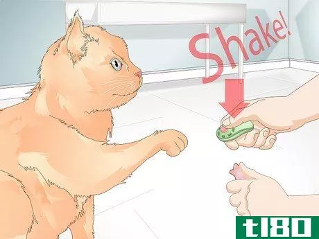 Image titled Teach Your Cat to Give a Handshake Step 13