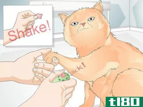 Image titled Teach Your Cat to Give a Handshake Step 9