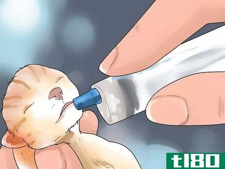 Image titled Take Care of Premature Newborn Kittens Step 13