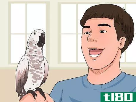 Image titled Teach Your Bird to Talk Step 6