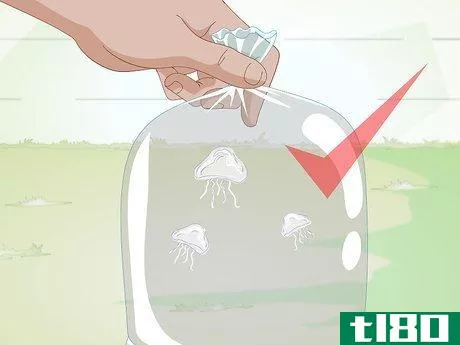 Image titled Start a Jellyfish Tank Step 12