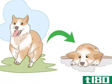 Image titled Tell if Your Dog Is Depressed Step 2