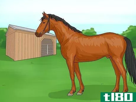 Image titled Treat Horse Lice Step 10