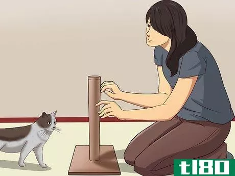 Image titled Stop a Cat from Clawing Furniture Step 5