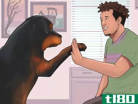 Image titled Teach Your Dog Tricks Step 9