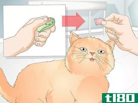 Image titled Teach Your Cat to Give a Handshake Step 7