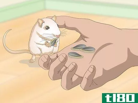 Image titled Spoil Your Gerbils Step 4