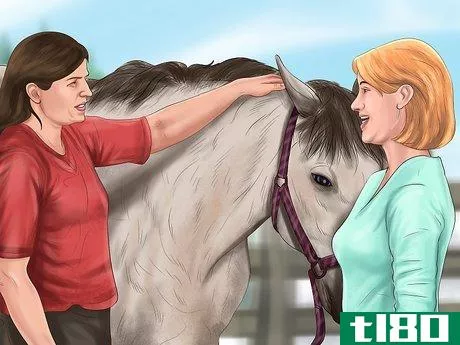 Image titled Give a Horse an Injection Step 3