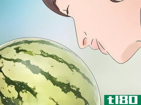 Image titled Tell when a Watermelon Is Ripe and Ready for Picking Step 7