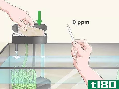 Image titled Test the Water in an Aquarium Step 10