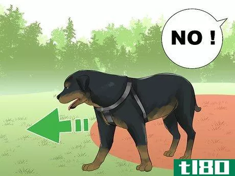 Image titled Train a Rottweiler to Be a Guard Dog Step 16