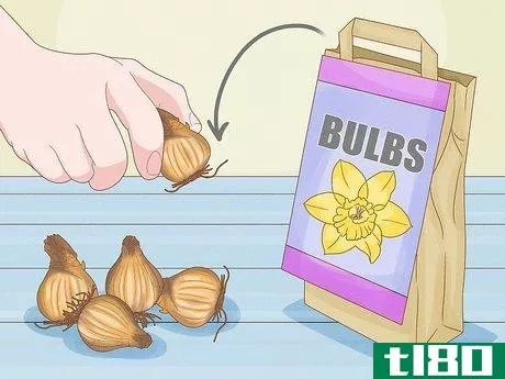 Image titled Store Bulbs Step 8