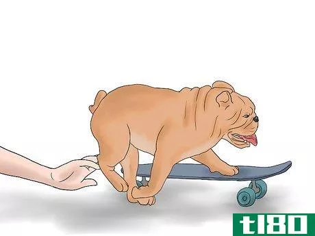 Image titled Teach a Bulldog to Skateboard Step 7