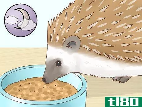 Image titled Take Care of a Hedgehog Step 16