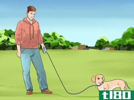 Image titled Stop Aggressive Behavior in Dogs Step 10