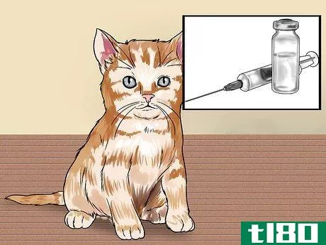Image titled Treat a Cat Bite Step 9