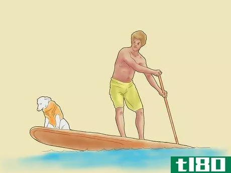 Image titled Teach Your Dog to Surf Step 7