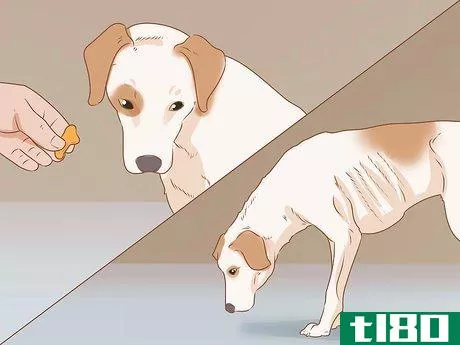 Image titled Tell if Your Dog Is Depressed Step 5