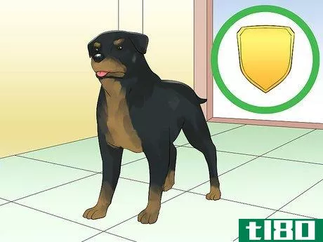 Image titled Train a Rottweiler to Be a Guard Dog Step 8