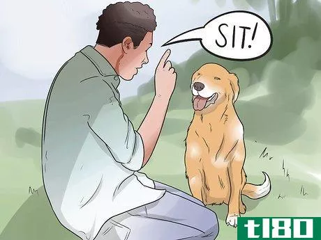 Image titled Train a Stubborn Dog Step 6