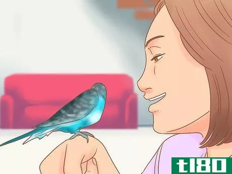 Image titled Take Care of a Parakeet Step 23