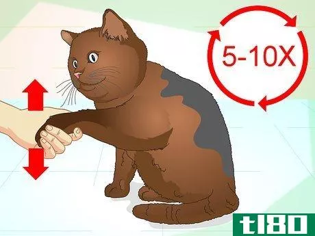 Image titled Teach Your Cat to Do Tricks Step 5