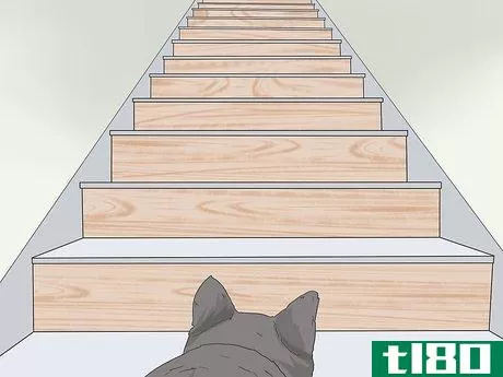 Image titled Train a Scared Dog to Go Down the Stairs Step 5