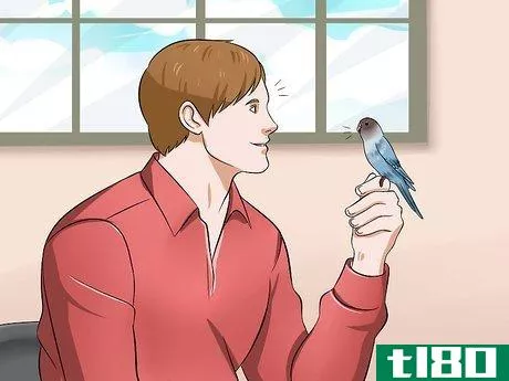 Image titled Teach Your Budgie to Talk Step 7