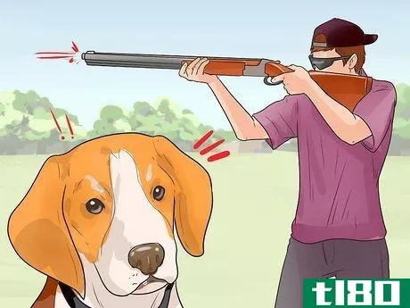 Image titled Train a Dog for Rabbit Hunting Step 13
