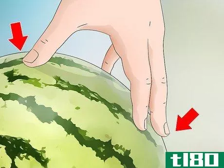 Image titled Tell when a Watermelon Is Ripe and Ready for Picking Step 5