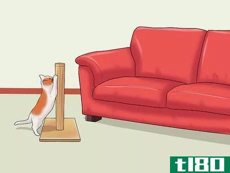 Image titled Stop a Cat from Clawing Furniture Step 4