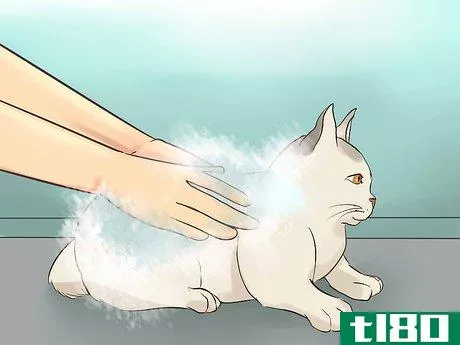 Image titled Choose Shampoo and Conditioner for Your Cat Step 12