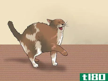 Image titled Treat a Cat Bite Step 12