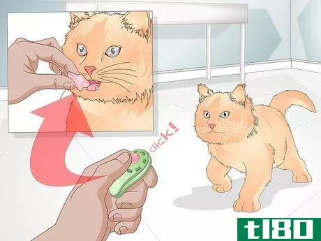 Image titled Teach Your Cat to Give a Handshake Step 4