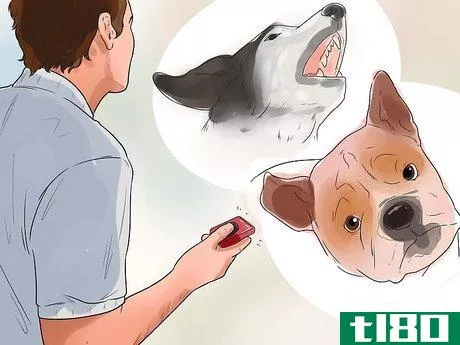 Image titled Teach Your Dog Tricks Step 10